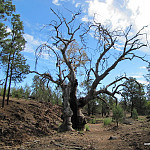 Thumb for Flinders Ranges